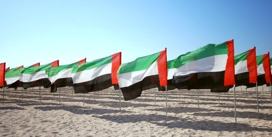 UAE Court Reaffirms Arbitration Grounds