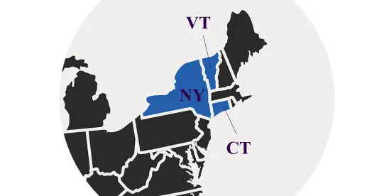 Second Circuit clarifies trade dress pleading