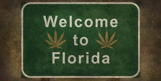 Florida Court on Medical Marijuana Use