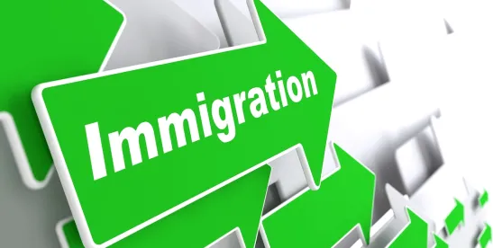 Trump's Executive Orders Reshape Immigration Policy