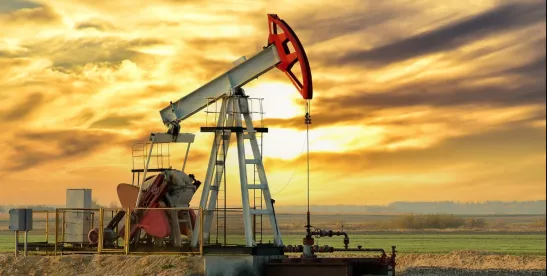White House Orders 25% Tariff on Imports from Countries Buying Venezuelan Oil
