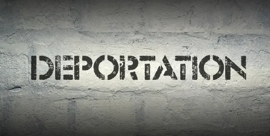 Immigration Enforcement under Trump 2.0