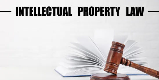 Intellectual property classifications explained