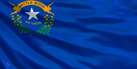 Nevada Government Contract Protests