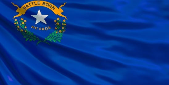 Nevada Government Contract Protests