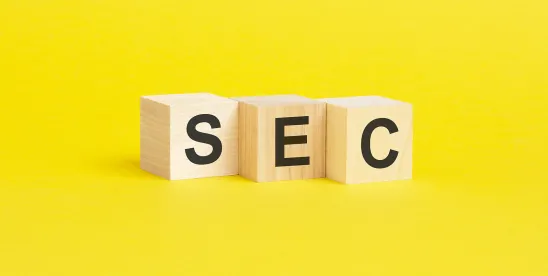 Securities and Exchange Commission Nonpublic Review
