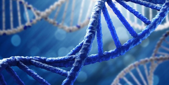 23andMe Bankruptcy Raises Genetic Data Privacy Concerns