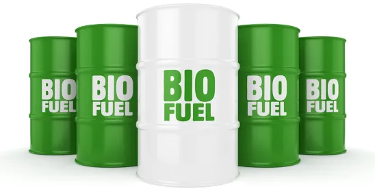 Trump Rescinds Biden Biofuel Executive Order