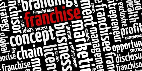 Terms of Franchise Agreement