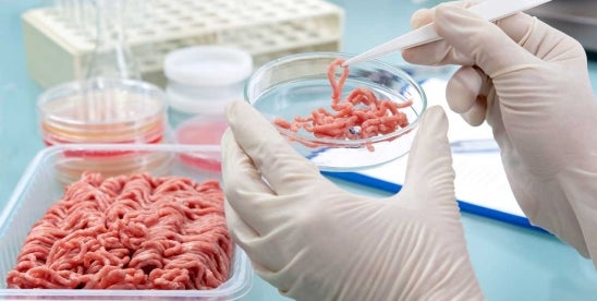 FDA approves cultured pork fat cells for food