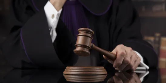 Federal Circuit rules on Odyssey Logistics' Appointments Clause