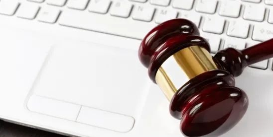 Trademark Ruling: Federal Circuit Weighs in on IVOTERS Dispute