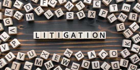 Litigation funding: Pros, cons, and legal scrutiny