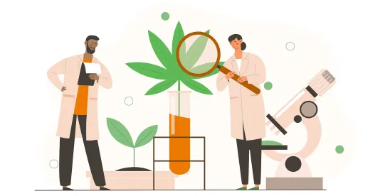 Cannabis research: Exploring ECS and health benefits