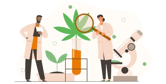 Cannabis research: Exploring ECS and health benefits