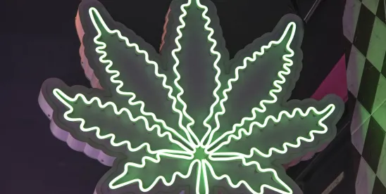 Cannabis 2025: Insights & State-by-State Legal Updates