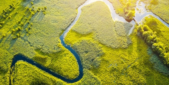 Stakeholder input sought: Revising WOTUS definition