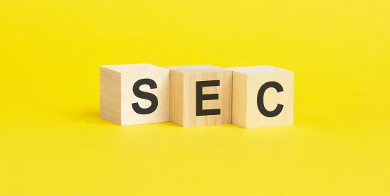 Cybersecurity Regulation Update: SEC Rules & Enforcement Insights