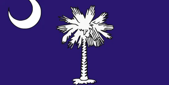 South Carolina Court of Appeals Affirms Annual Limit on Investment Tax Credit for Duke Energy