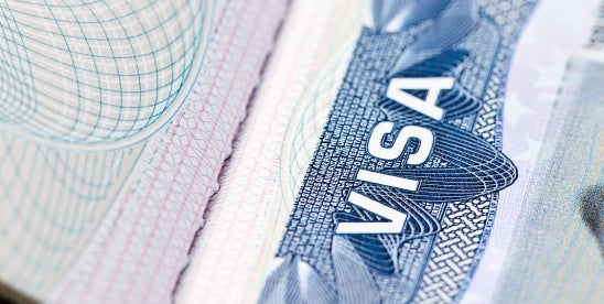 State-Level E-Verify Proposals