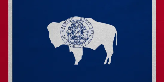 Wyoming non-compete ban: Key changes explained