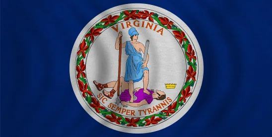 Children’s Online Privacy: Virginia’s Bill Raises the Bar