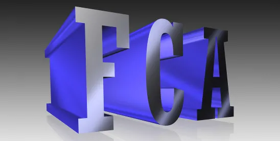 FCA Ruling: Eighth Amendment Limits Excessive Penalties