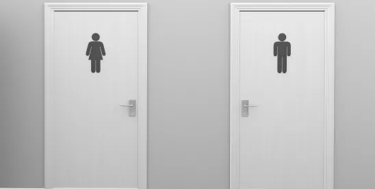 Gender Laws: Federal Guidance Influences State Legislation