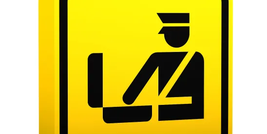 Compliance Alert: Minimizing Customs and FCA Penalty Risks