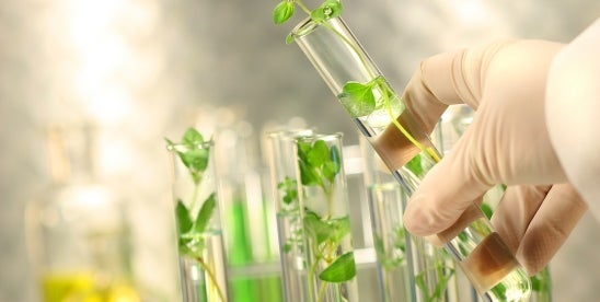 National Security Commission on Emerging Biotechnology report