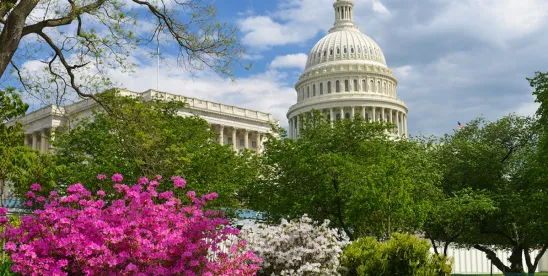 Key Spring and Summer Workplace Tips for Employers