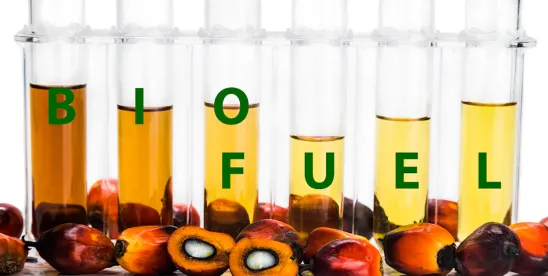 USDA invests in biofuel infrastructure growth