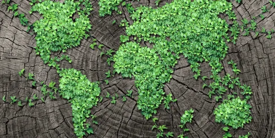 EPA and Corps Narrow Scope of Wetland Jurisdiction Under Sackett Ruling