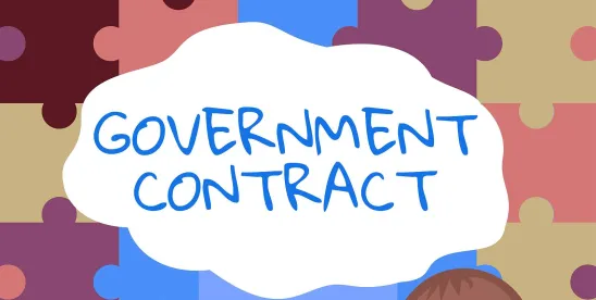 U.S. Government Contractors in 2025