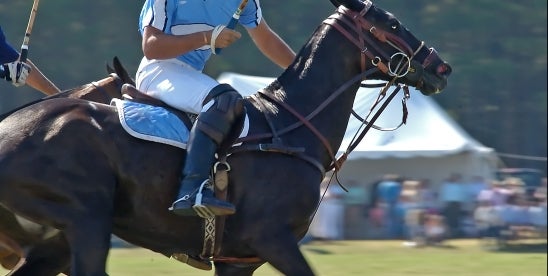 Equine Activities in North Carolina