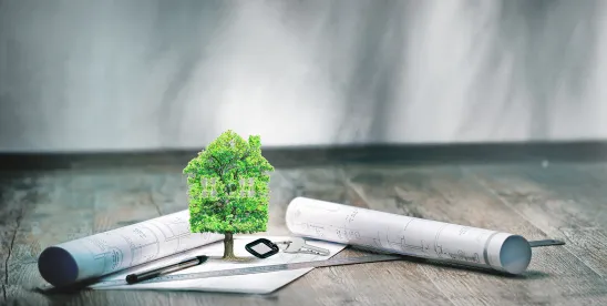Green leases: Sustainable solutions for real estate