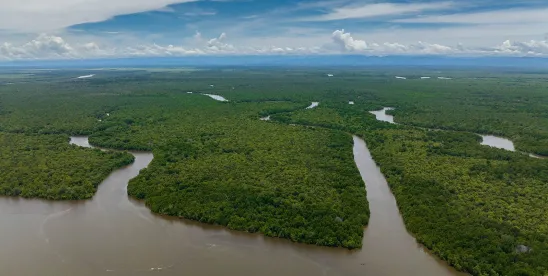 Navigating Wetlands in Coastal North Carolina