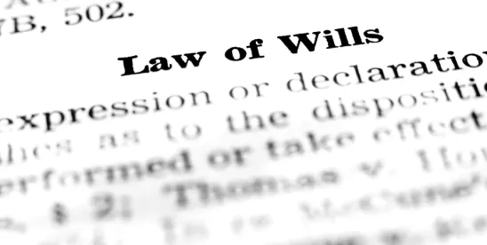 In Matter of Estate of Ryan Will Executor 
