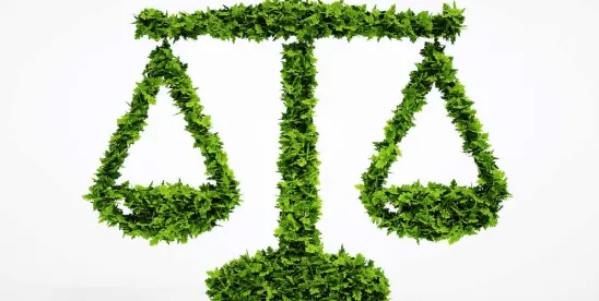 Climate litigation—Colorado ruling deepens legal divide