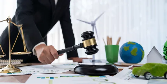 EPA’s TSCA rule challenge paused—court grants abeyance