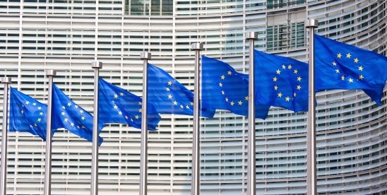 European Commission Sustainable Finance Disclosure Regulation Call for Evidence