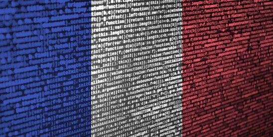 AI in the Workplace in France