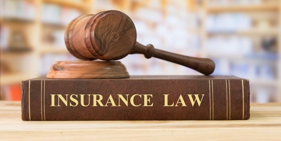 Section 220 D&O Insurance Information