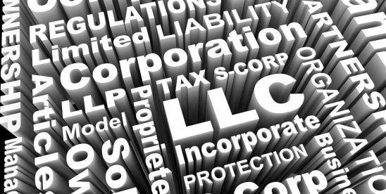 Court upholds LLC member rights to record requests