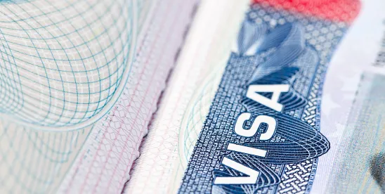 New ‘Catch-and-Revoke’ Visa Policy