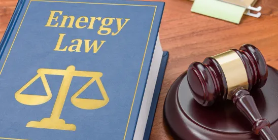 Fusion energy industry sees regulatory evolution