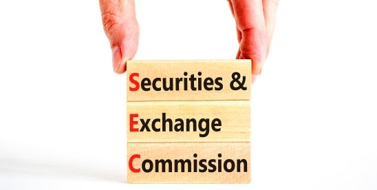 SEC Enforcement in the New Administration