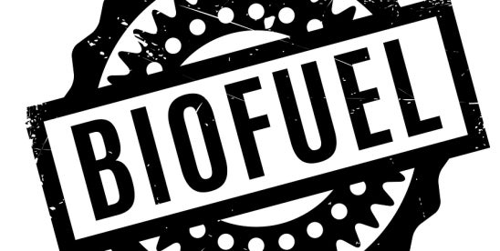 Congress backs biofuel innovation with Ag BIO Act