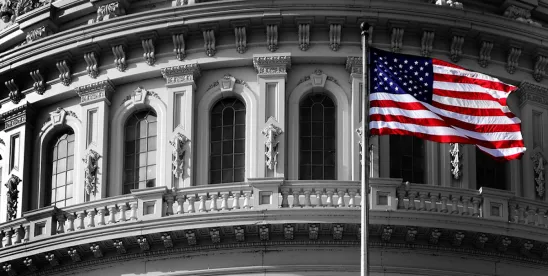 The Constitutional Limits on Executive Removals
