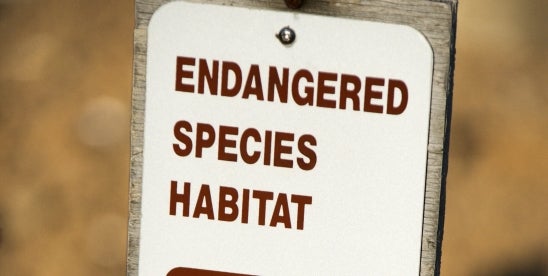 Texas District Court Rules FWS